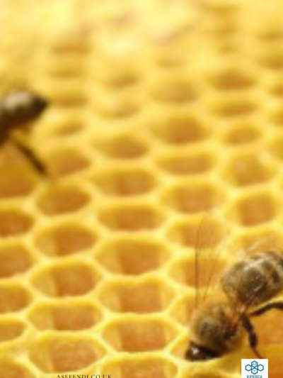 8x HANDMADE 100% pure beeswax pillar candels in BOX, Eco-friendly (22cm/2,5cm)