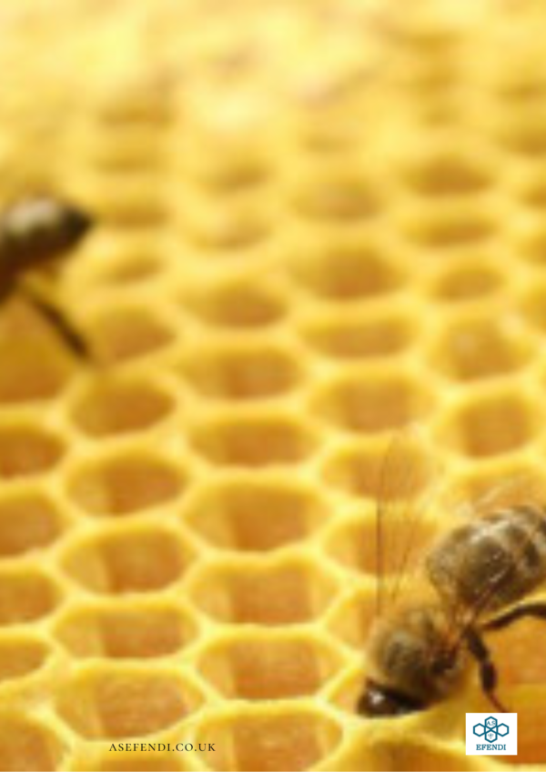 8x HANDMADE 100% pure beeswax pillar candels in BOX, Eco-friendly (22cm/2,5cm) - Image 2